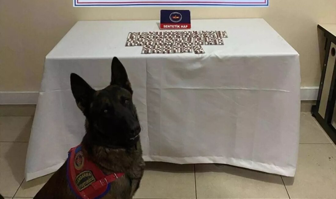 Çankırı'da düzenlenen suçla mücadele operasyonları kapsamında 116 kişi gözaltına alındı,