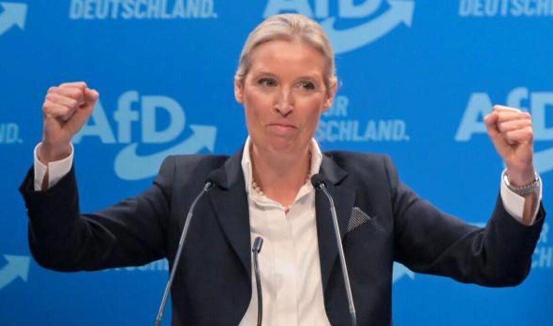 CDU'nun düzensiz göçle ilgili önergesi ve AfD'nin bu önergeye verdiği
