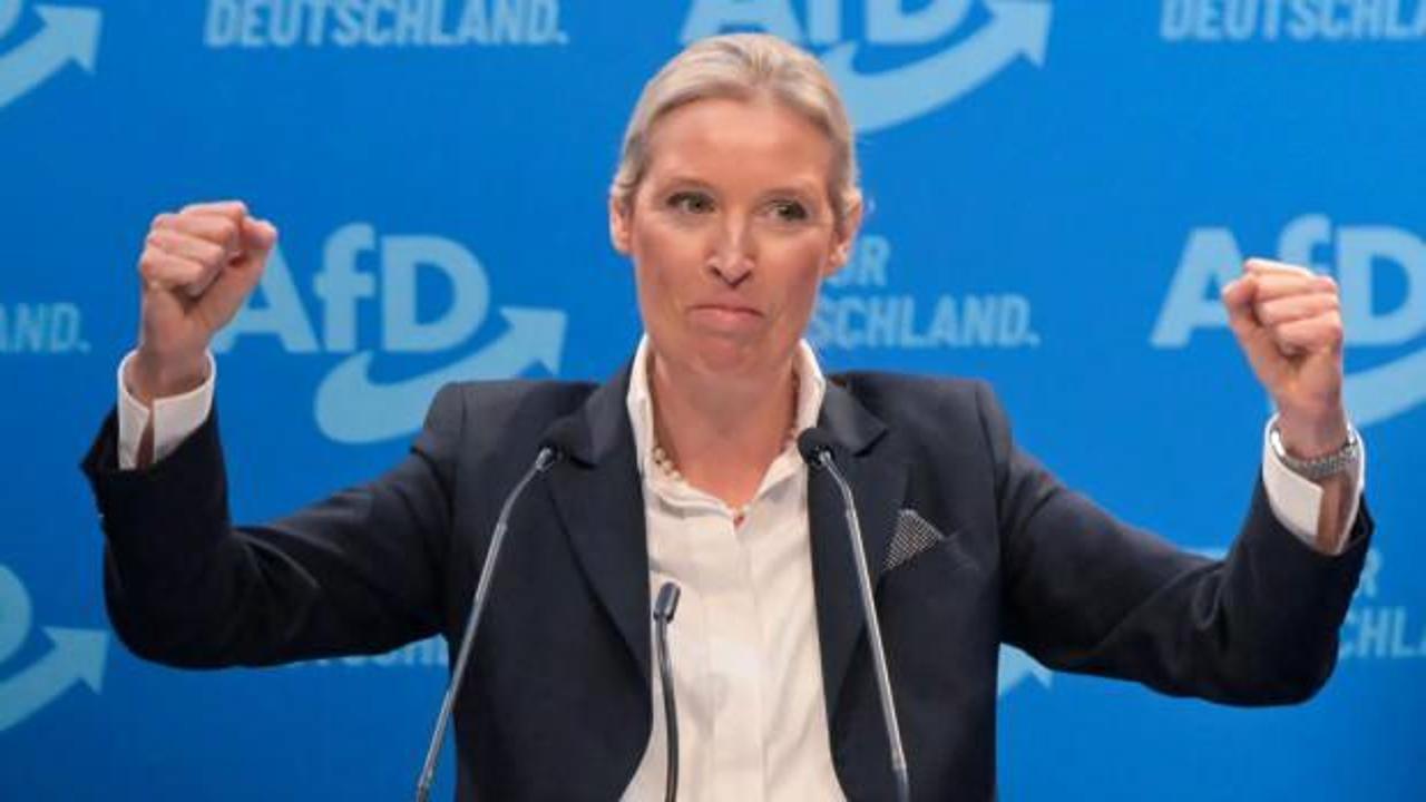 CDU'nun düzensiz göçle ilgili önergesi ve AfD'nin bu önergeye verdiği