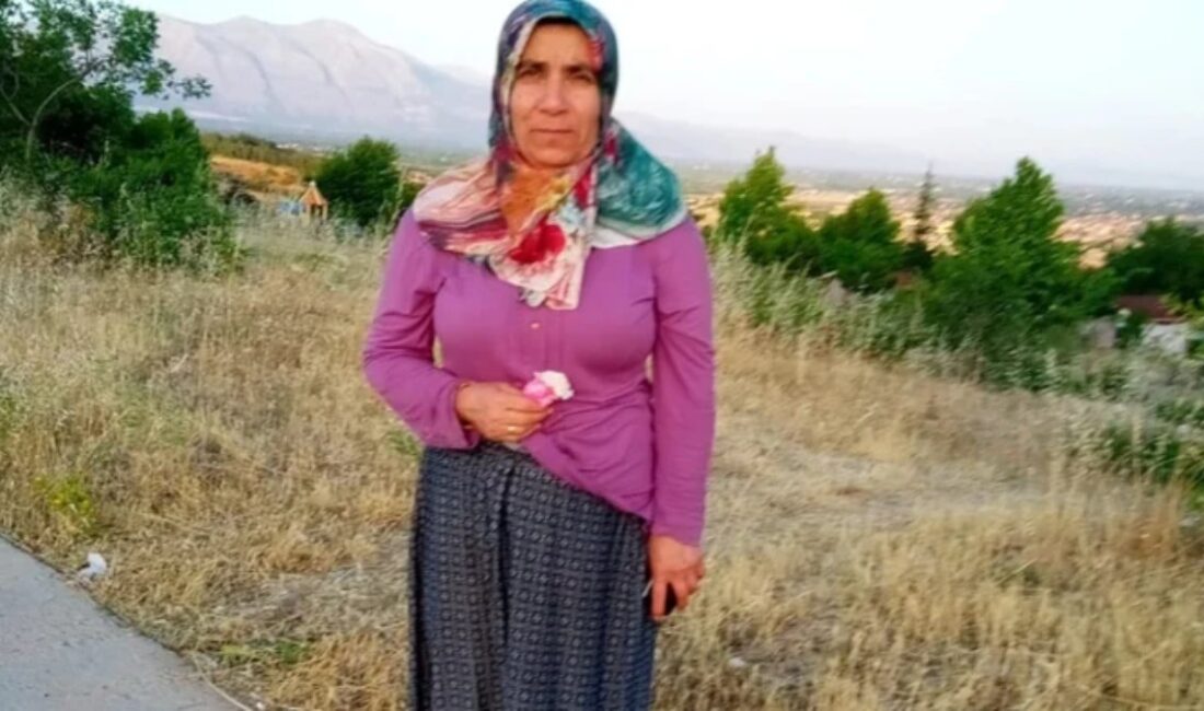 Çivril'de yaşanan korkunç cinayet, Serpil Girgin'in ölümüyle Türkiye'yi şok etti.