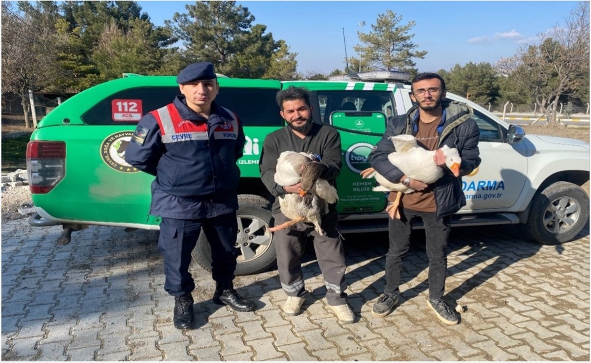Çorum'da Kumar ve Kaz Dövüşlerine Karşı Operasyon