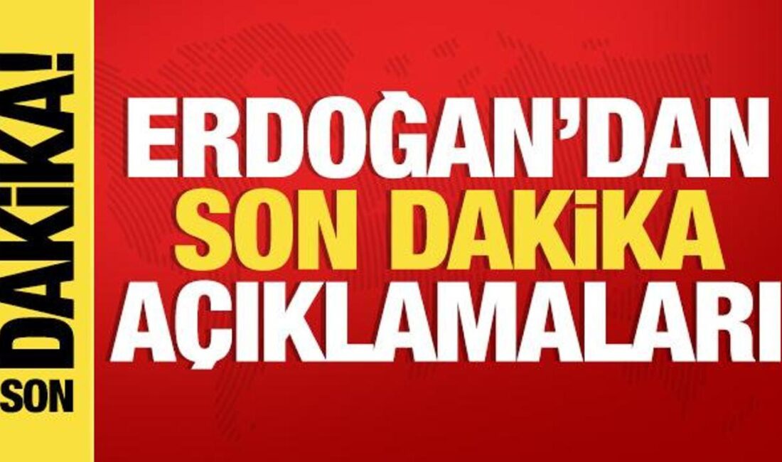 Cumhurbaşkanı Erdoğan ile Almanya Cumhurbaşkanı Steinmeier'in gerçekleştirdiği görüşme, Türkiye-Almanya ilişkilerini