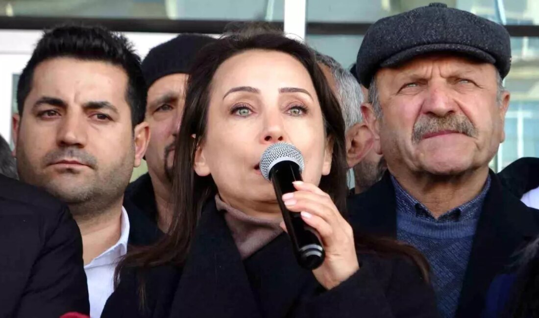 DEM Parti Eş Genel Başkanı Tülay Hatimoğulları, İmralı'daki diyalog sürecine