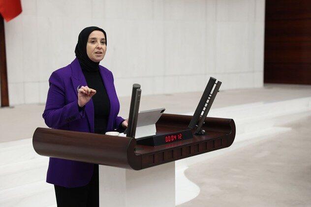 Esen, yasa teklifinde TÜBİTAK Yönetim Kurulu’na geniş yetkiler verilmesine dikkat