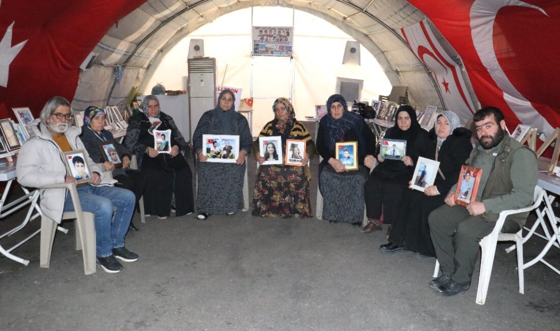 Evlat nöbetini sürdüren ailelerden Necibe Çiftçi, "Bu süreç güzel bir