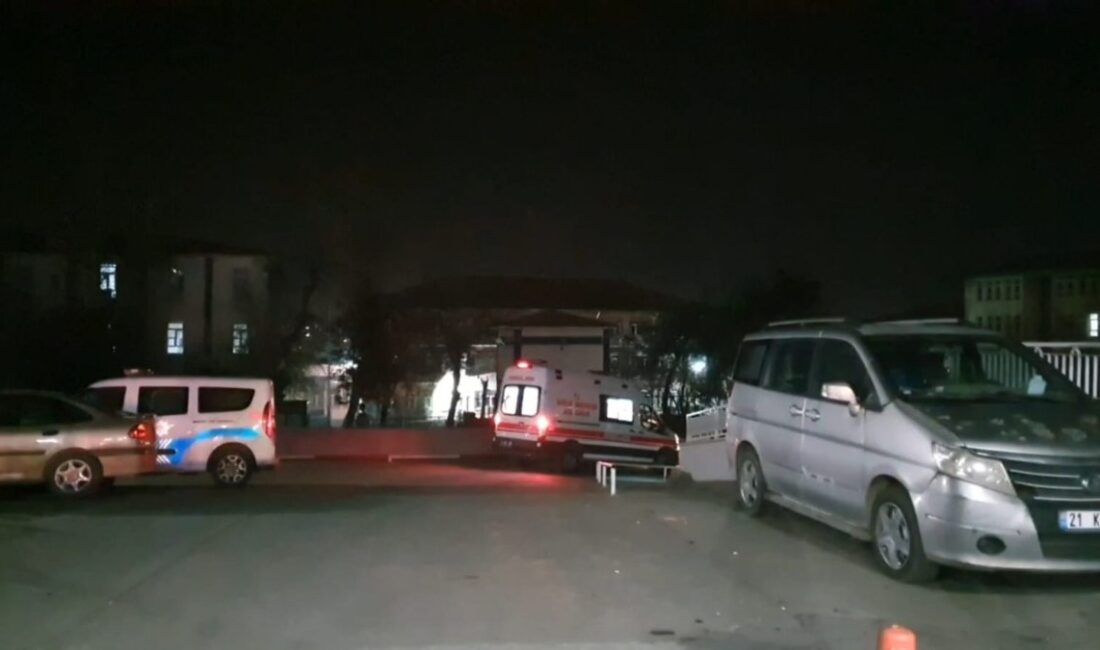 Diyarbakır'da aileler arasında meydana gelen taşlı sopalı kavga, güvenlik güçlerinin