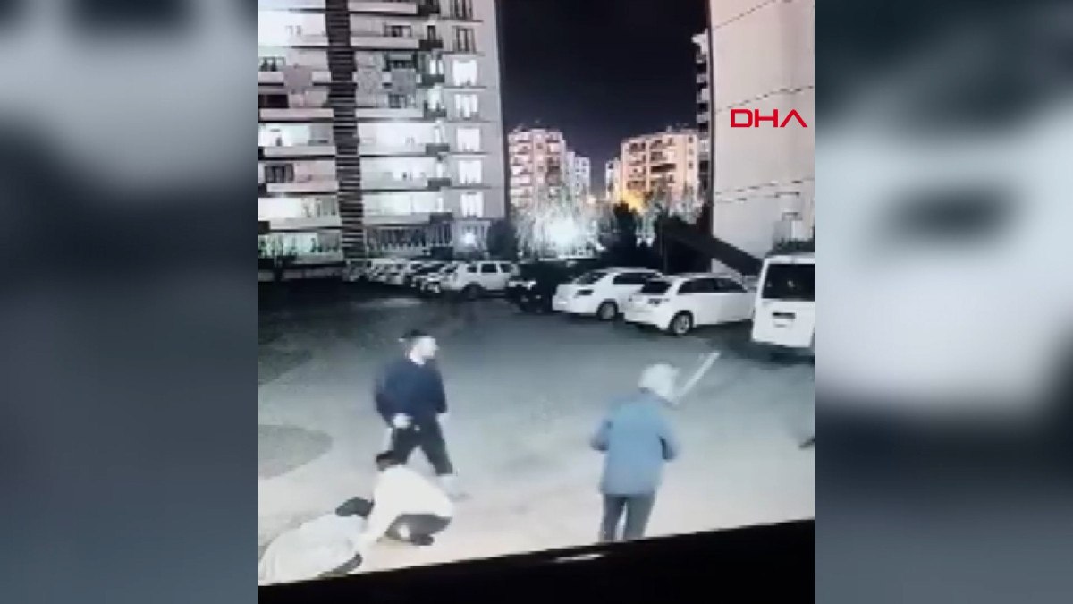 Diyarbakır'da Başıboş Köpek Saldırısı: Kadın ve Çocuk Tehlike Altında