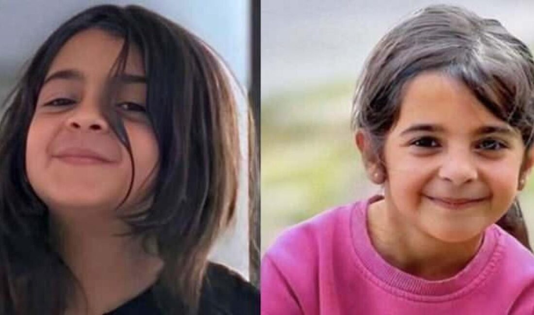 Diyarbakır'da Narin Güran cinayeti davasında tutuklu sanıklara verilen cezalar açıklandı.