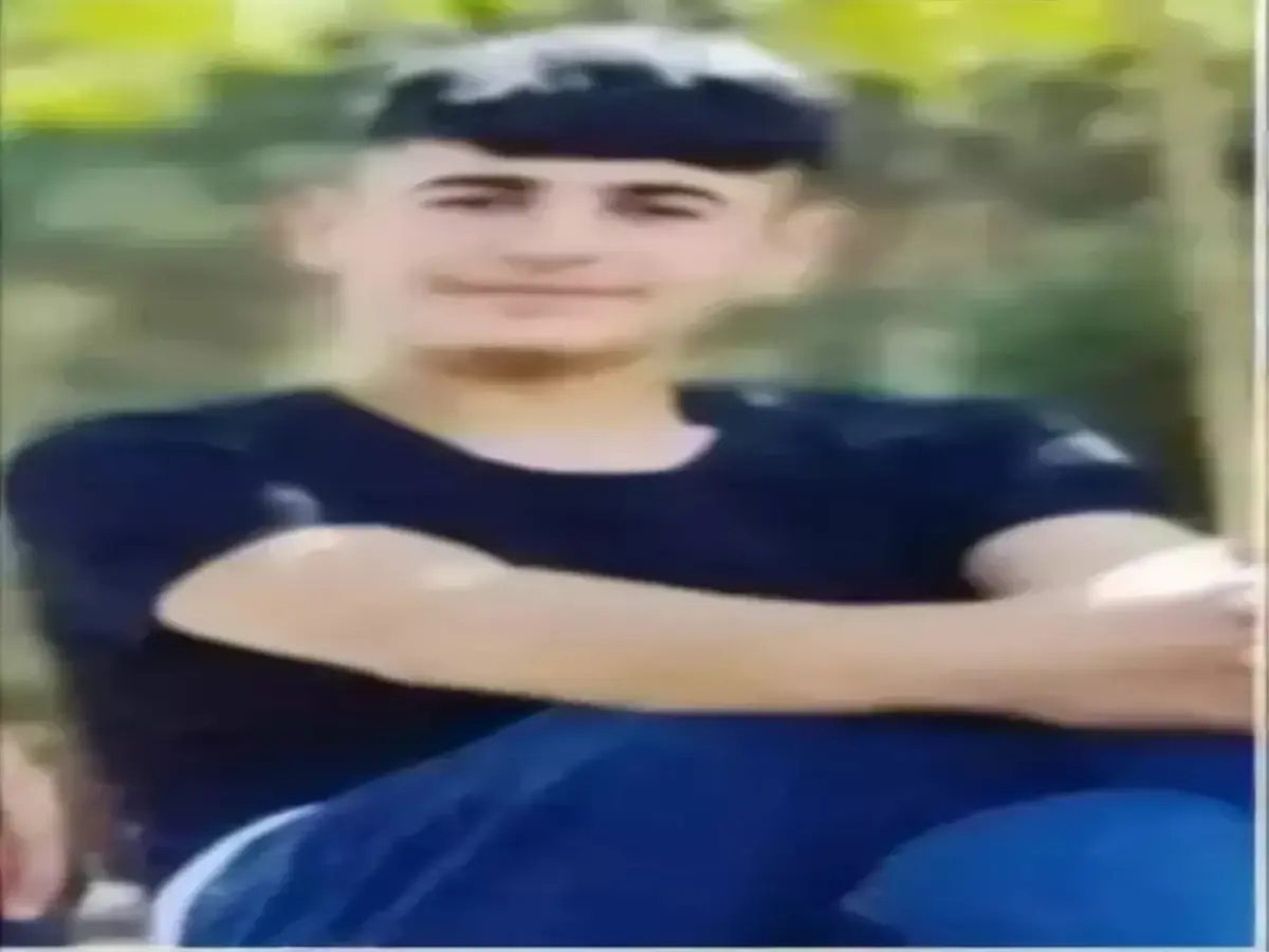 Diyarbakır'da yaşanan Narin Güran cinayeti davası, mahkeme süreci ve istinaf