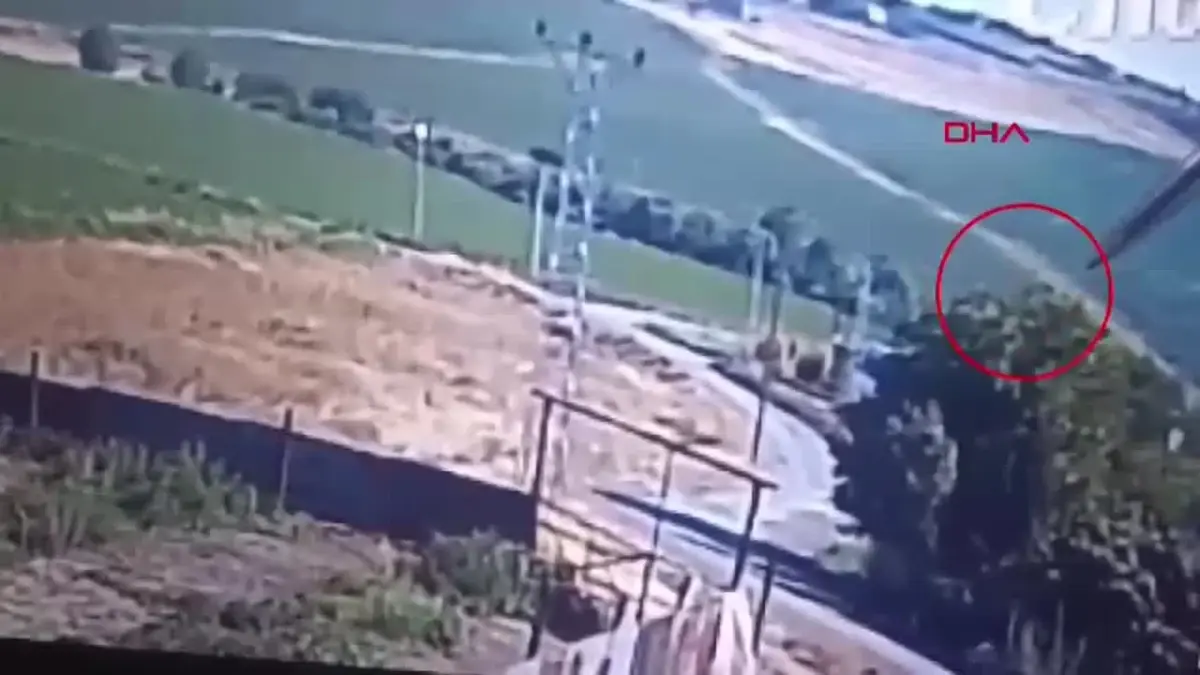 Diyarbakır'da Narin Güran cinayetinin ardından yapılan istinaf başvurusu, davanın seyrini