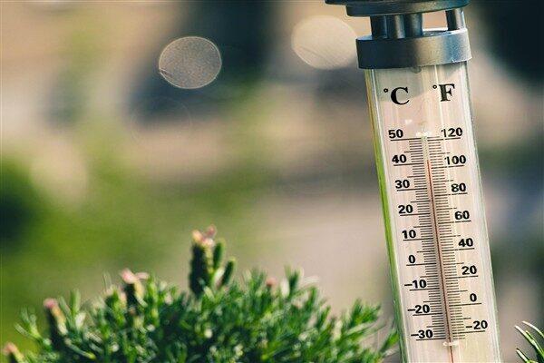 Dünya Sağlık Örgütü (DSÖ), iklim değişikliğinin bir sağlık krizi olduğunu