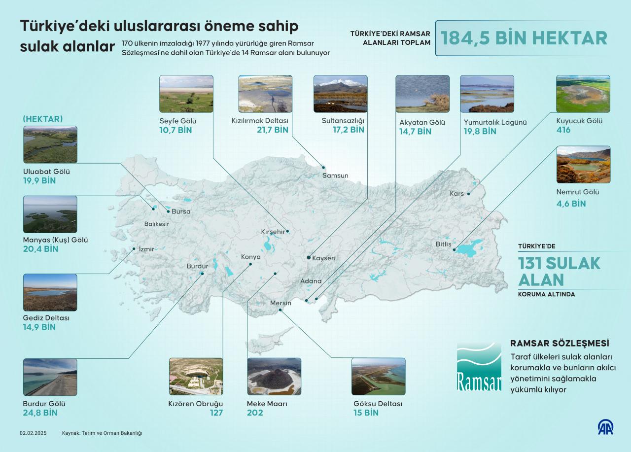 Dünya Sulak Alanlar Günü ve Önemi
