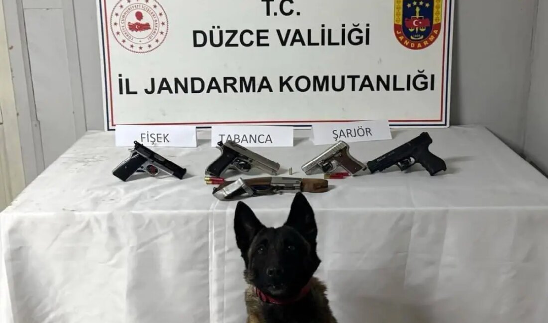 Düzce'de jandarma bir işletmede yaptığı baskında 5 ruhsatsız silah ele
