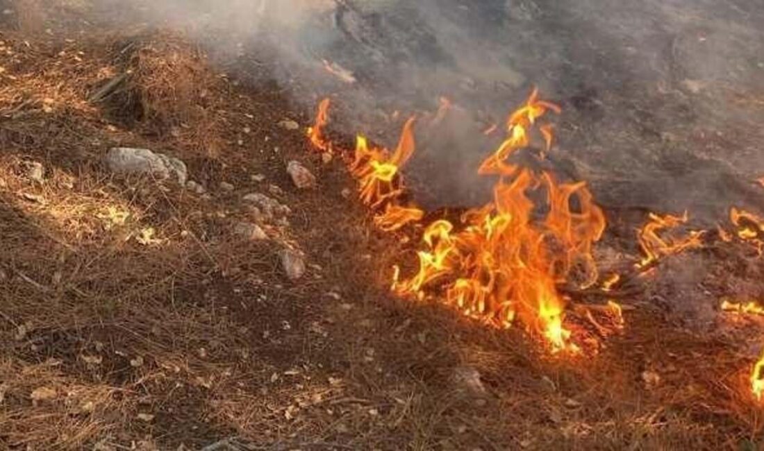 Düziçi'nde meydana gelen orman yangını, ekiplerin hızlı müdahalesiyle kontrol altına