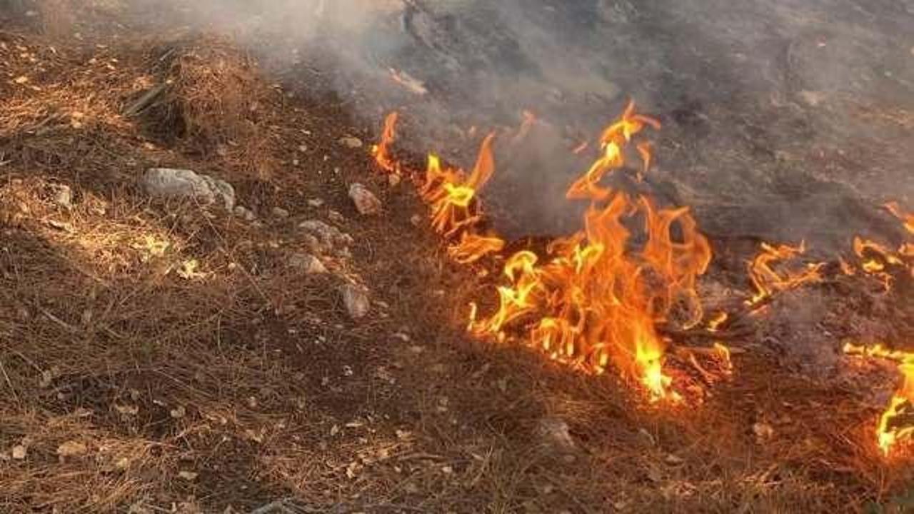 Düziçi'nde meydana gelen orman yangını, ekiplerin hızlı müdahalesiyle kontrol altına
