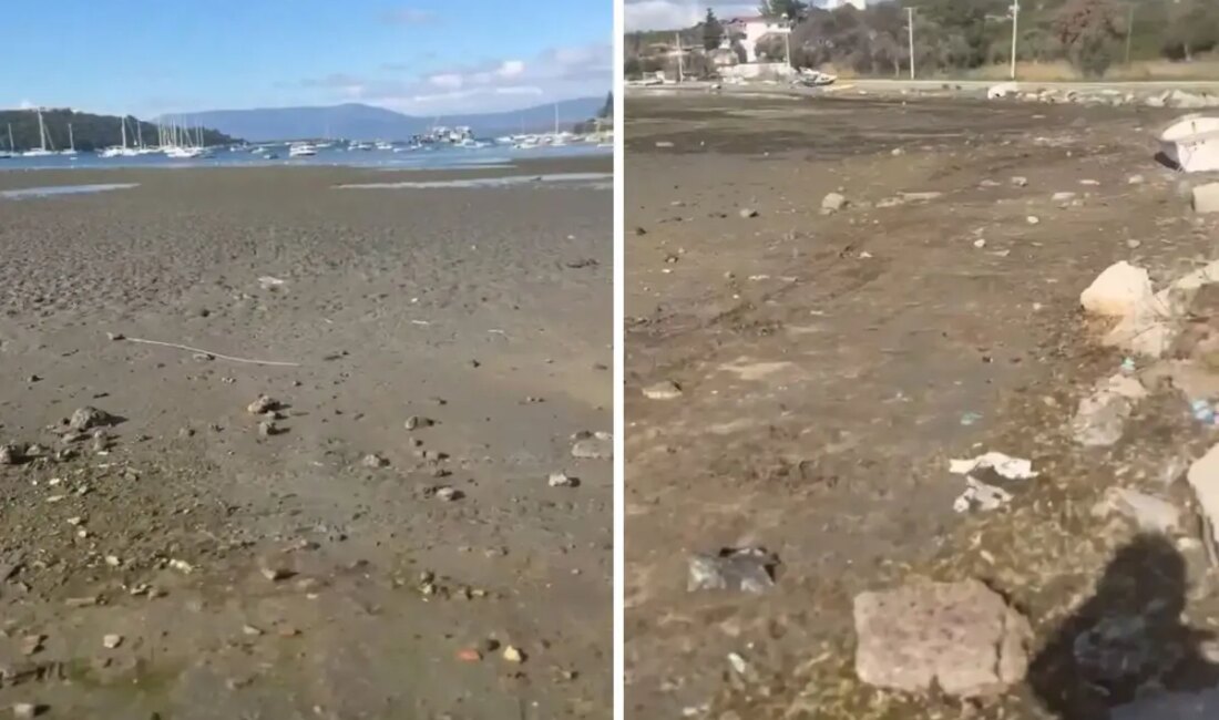 Ege Bölgesi'nde meydana gelen depremler sonrası deniz çekilmesi olayı, bölge