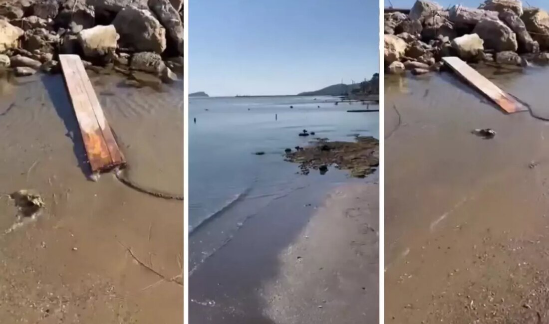 Ege Denizi'nde artan sismik aktivite ve depremler, bölgedeki yaşamı etkiliyor.