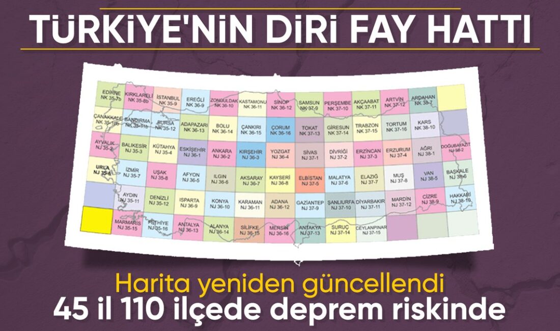 Ege Denizi'nde meydana gelen depremler, bölge halkında büyük bir paniğe