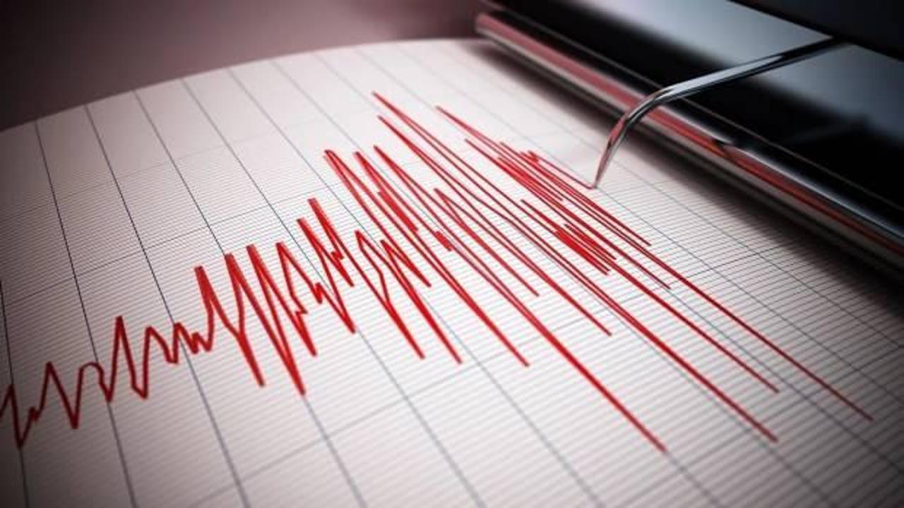 Ege Denizi'nde tsunami tehlikesi ve sismik aktivite hakkında uzmanların değerlendirmeleri.