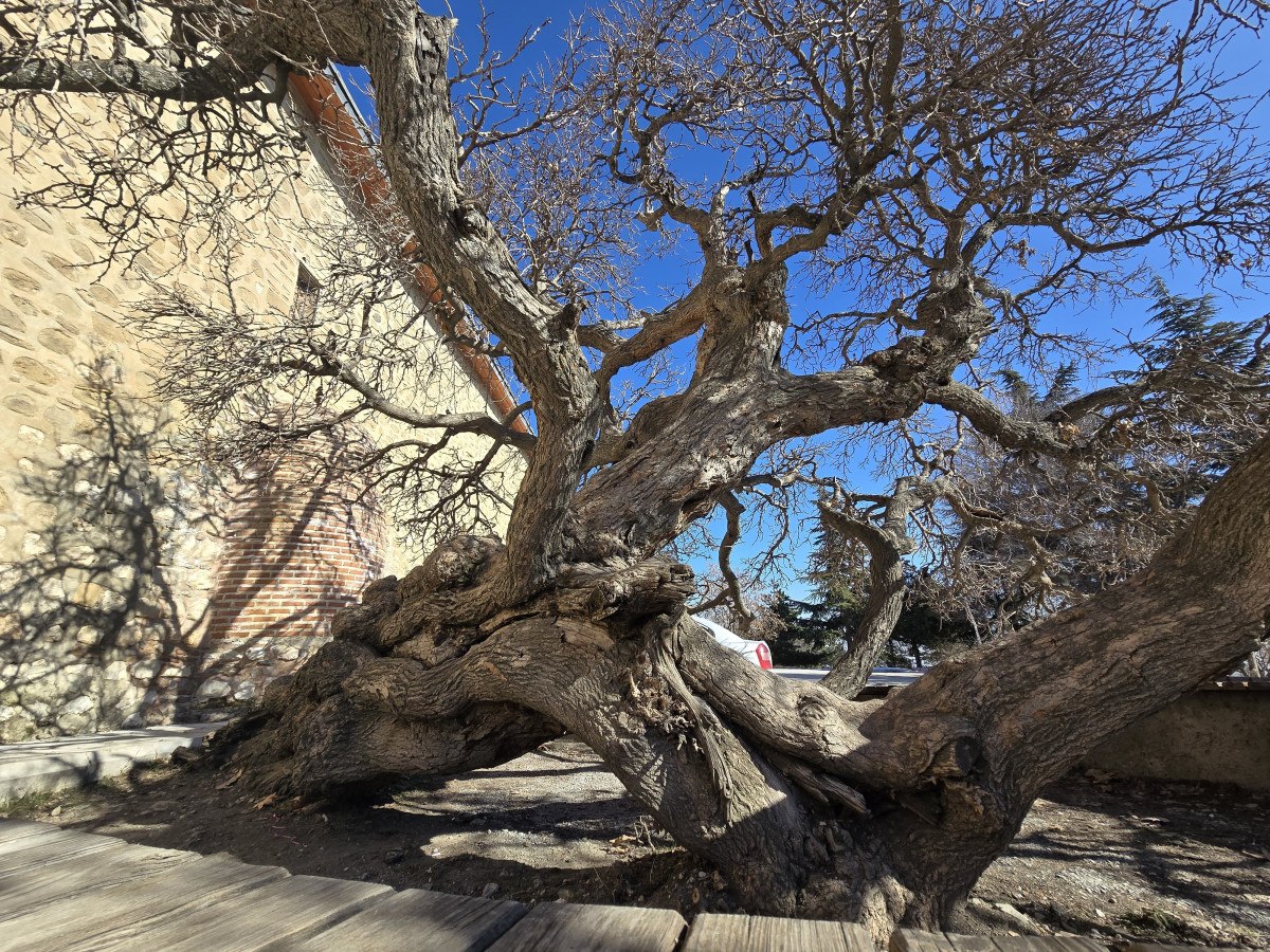 Elazığ'ın Tarihi Harput Mahallesi