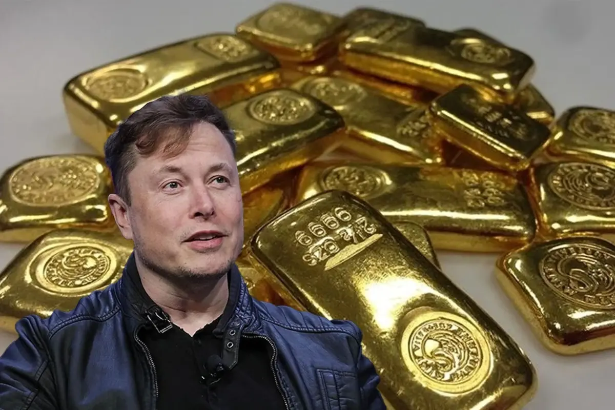 Milyarder Elon Musk, ABD'nin Verimlilik Departmanı Başkanlığı için ABD'nin tüm