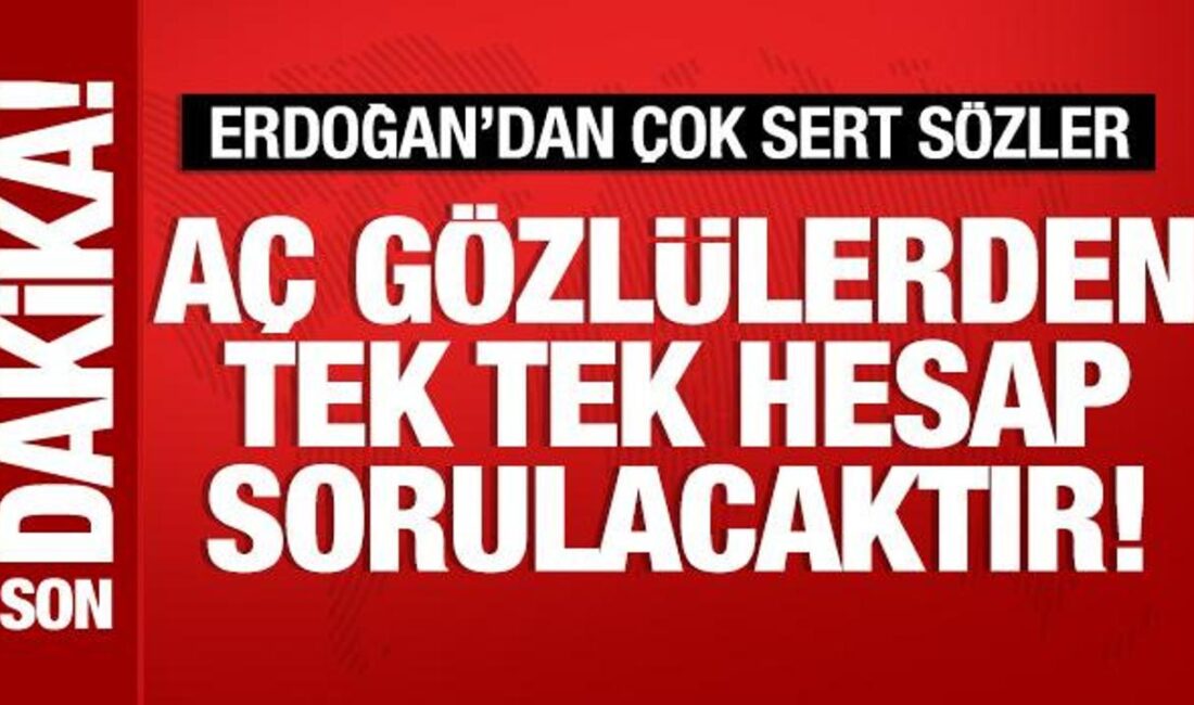 Cumhurbaşkanı Erdoğan, Bolu yangını ve Türkiye'nin sağlık sistemi hakkında çarpıcı