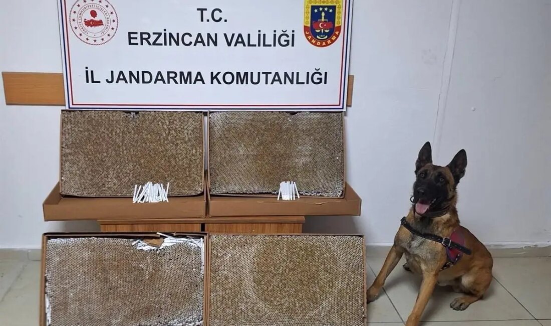 Erzincan İl Jandarma Komutanlığı'nın Ocak 2025 faaliyet raporu, güvenlik hizmetleri,