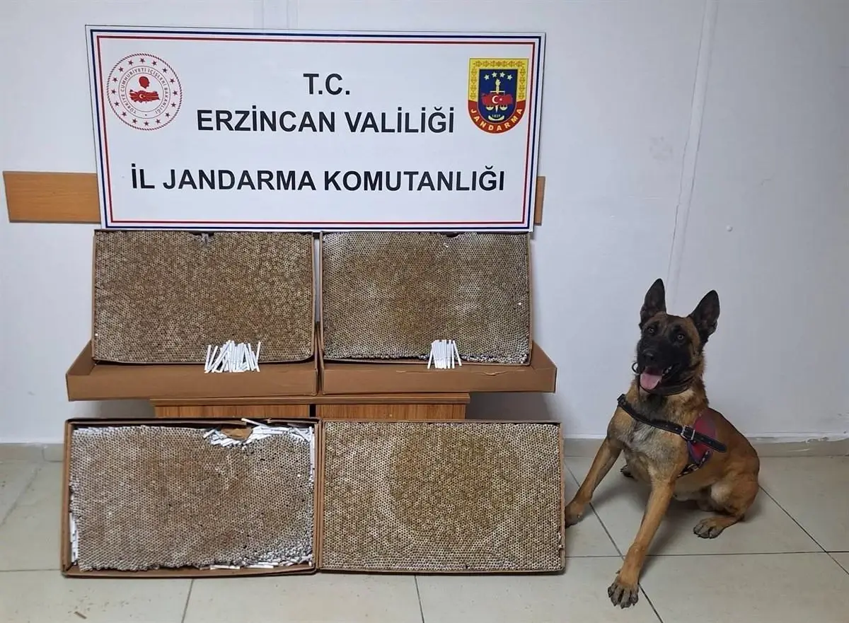Erzincan İl Jandarma Komutanlığı'nın Ocak 2025 faaliyet raporu, güvenlik hizmetleri,