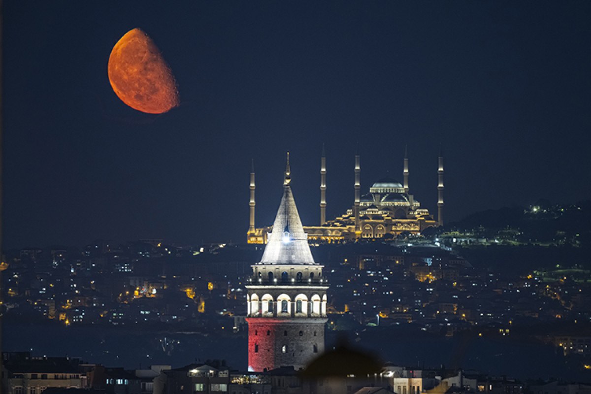 Fahrettin Altun, Yılın Kareleri Fotoğraf Seçkisini İnceledi