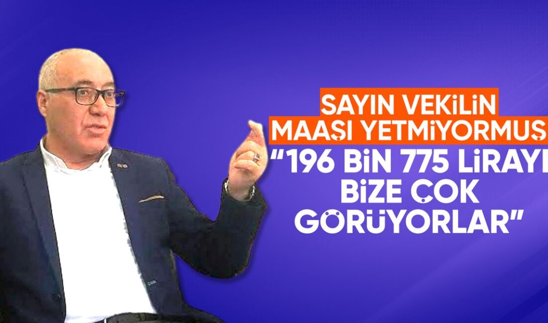 Gelecek Partisi İstanbul Milletvekili Doğan Demir, vatandaş kendilerini eleştirse de