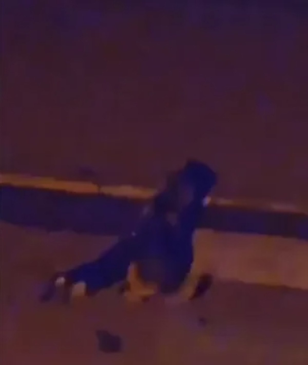 Başıboş Köpek Sorunu: Giresun'da Yeni Bir Saldırı Olayı