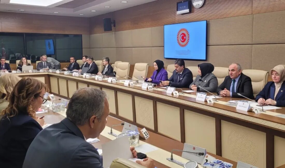 ADALET Bakanlığı Adil Destek Hizmetleri Dairesi Lideri Meral Gökkaya, "Bazı