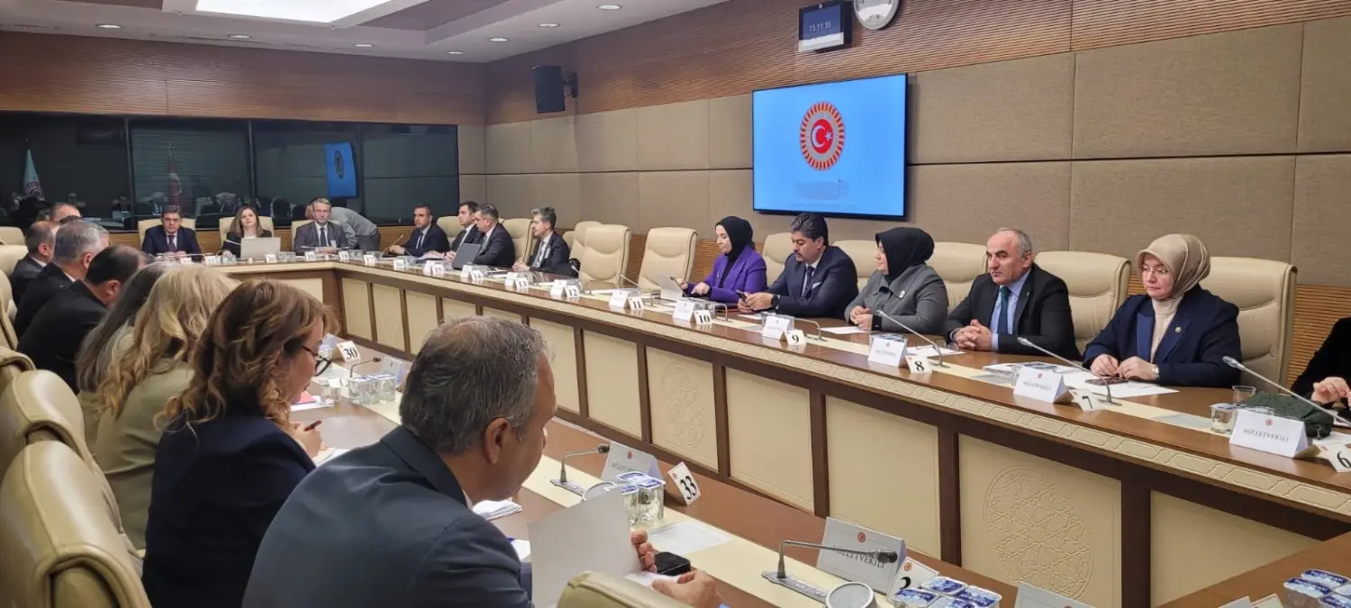 ADALET Bakanlığı Adil Destek Hizmetleri Dairesi Lideri Meral Gökkaya, "Bazı