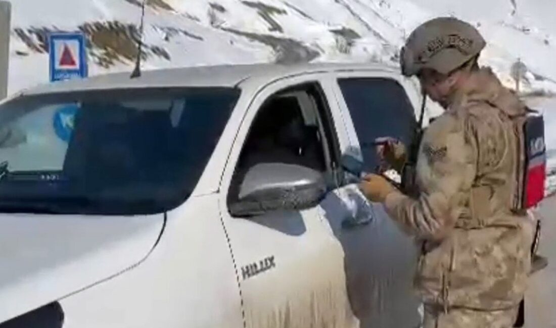 Hakkari'de jandarma, ışıklı cihaz kullanan sürücülere ceza keserek trafik güvenliğini