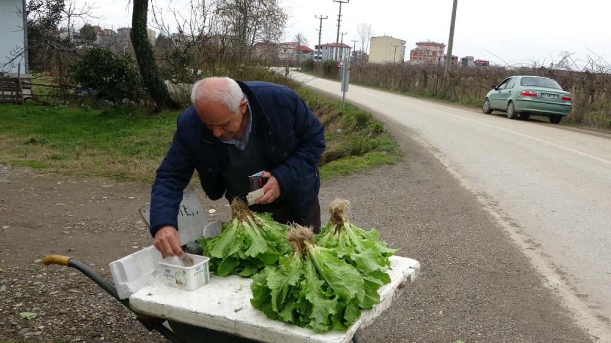 Hasan ve Aysel Seydi'nin Güven Esasına Dayalı Tarım Hikayesi