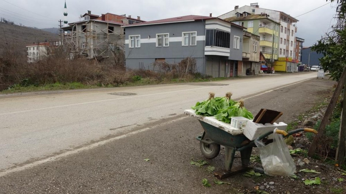 Hasan ve Aysel Seydi'nin Güven Esasına Dayalı Tarım Hikayesi