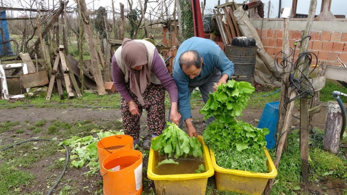 Hasan ve Aysel Seydi'nin Güven Esasına Dayalı Tarım Hikayesi