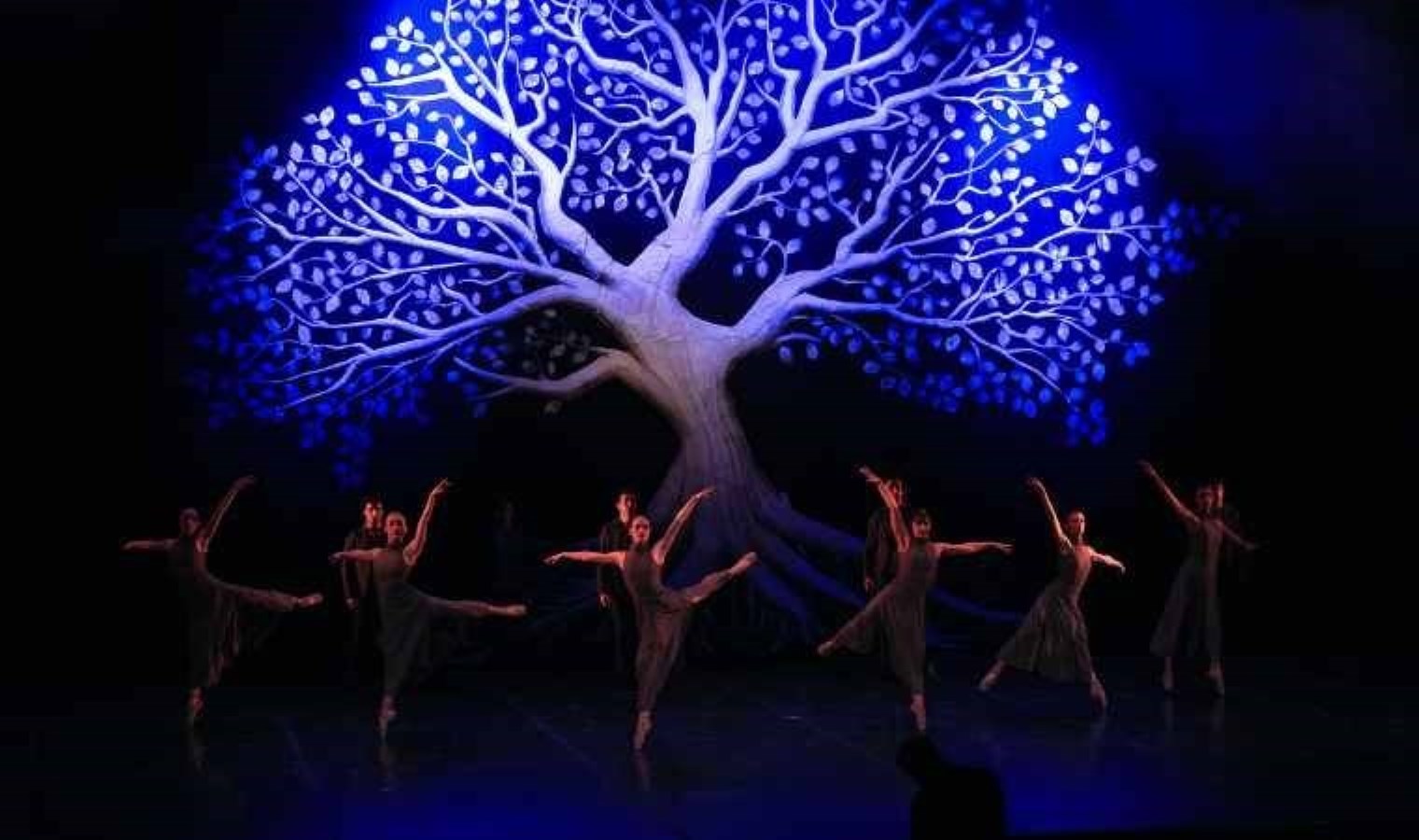 İzmir Devlet Opera ve Balesi tarafından 22 Şubat Cumartesi saat
