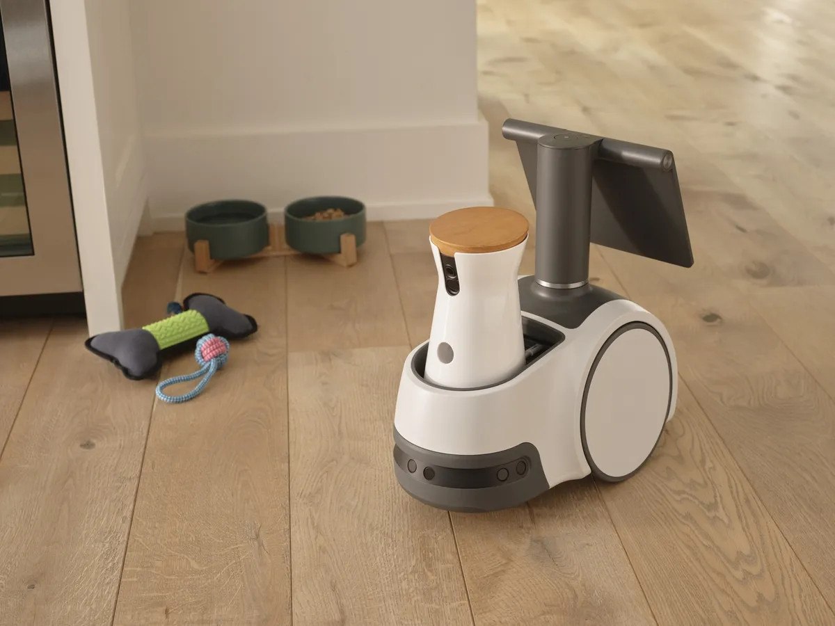 Akıllı Ev Robotu Hamlesi