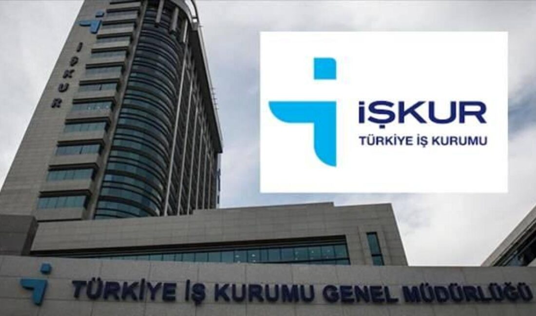 İŞKUR'un Gençlik Programı, üniversite öğrencilerine 15 bin TL destek sunarak