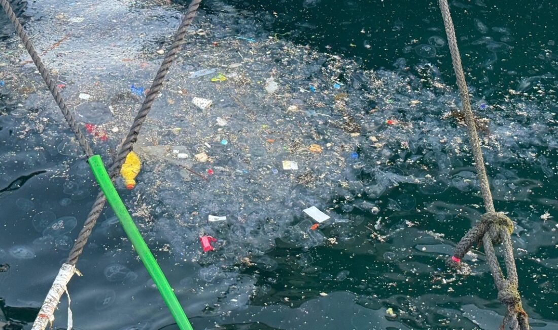 İstanbul'da artan deniz kirliliği, hem çevre hem de sağlık açısından