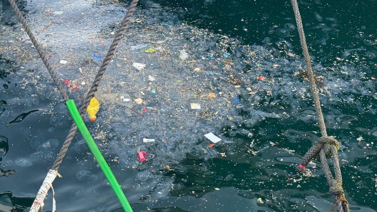İstanbul'da artan deniz kirliliği, hem çevre hem de sağlık açısından