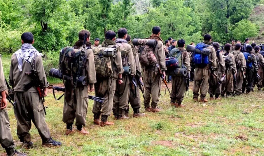 İsviçre hükümeti, PKK'nın ülkede eğitim kampları kurduğunu ve para topladığını