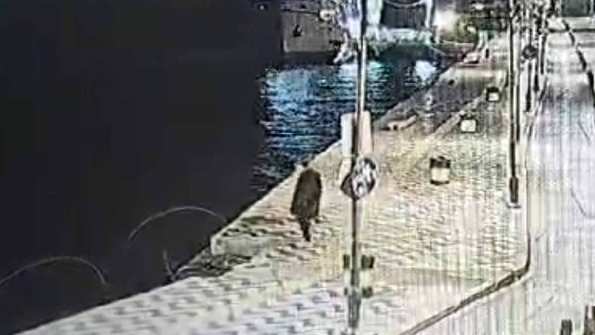 İzmir'de Boğulma Olayı: 44 Yaşındaki Hüseyin Etli'nin Trajik Sonu