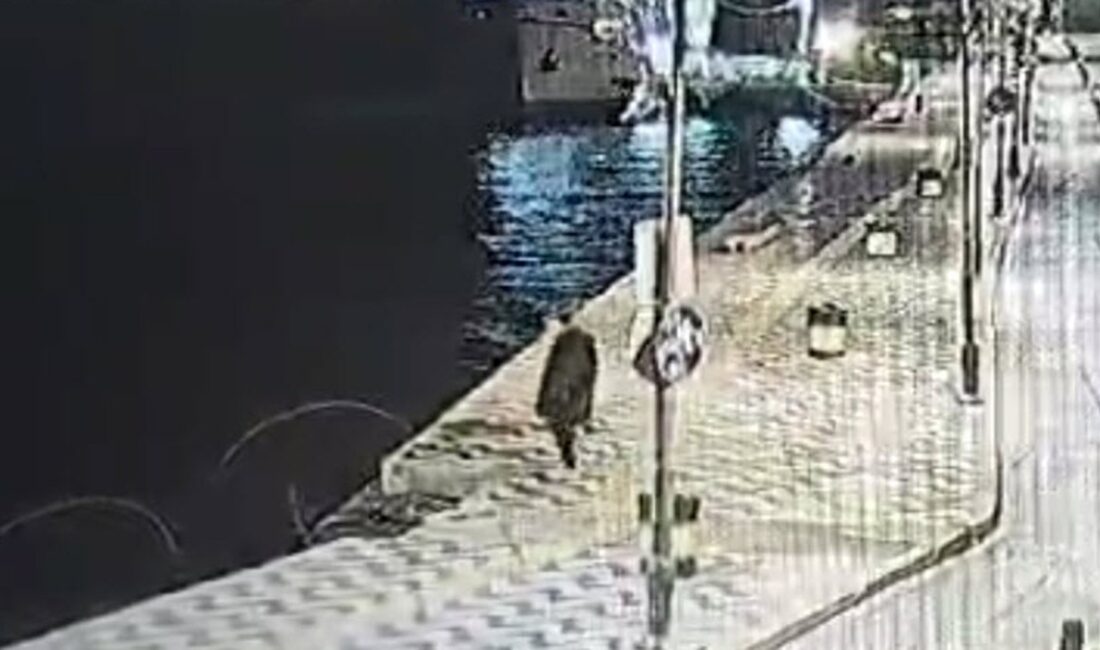 İzmir'de meydana gelen boğulma olayı, 44 yaşındaki Hüseyin Etli'nin trajik