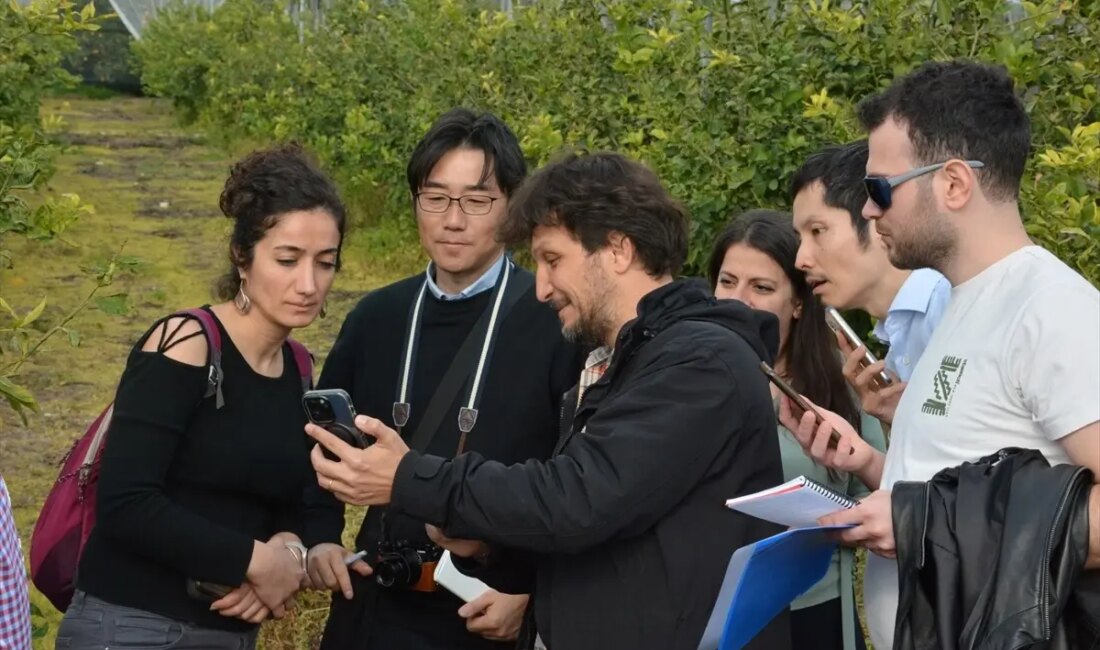 Japonya'dan gelen uzmanların Kumluca ve Finike'deki tarım üretimini incelediği ziyaret,
