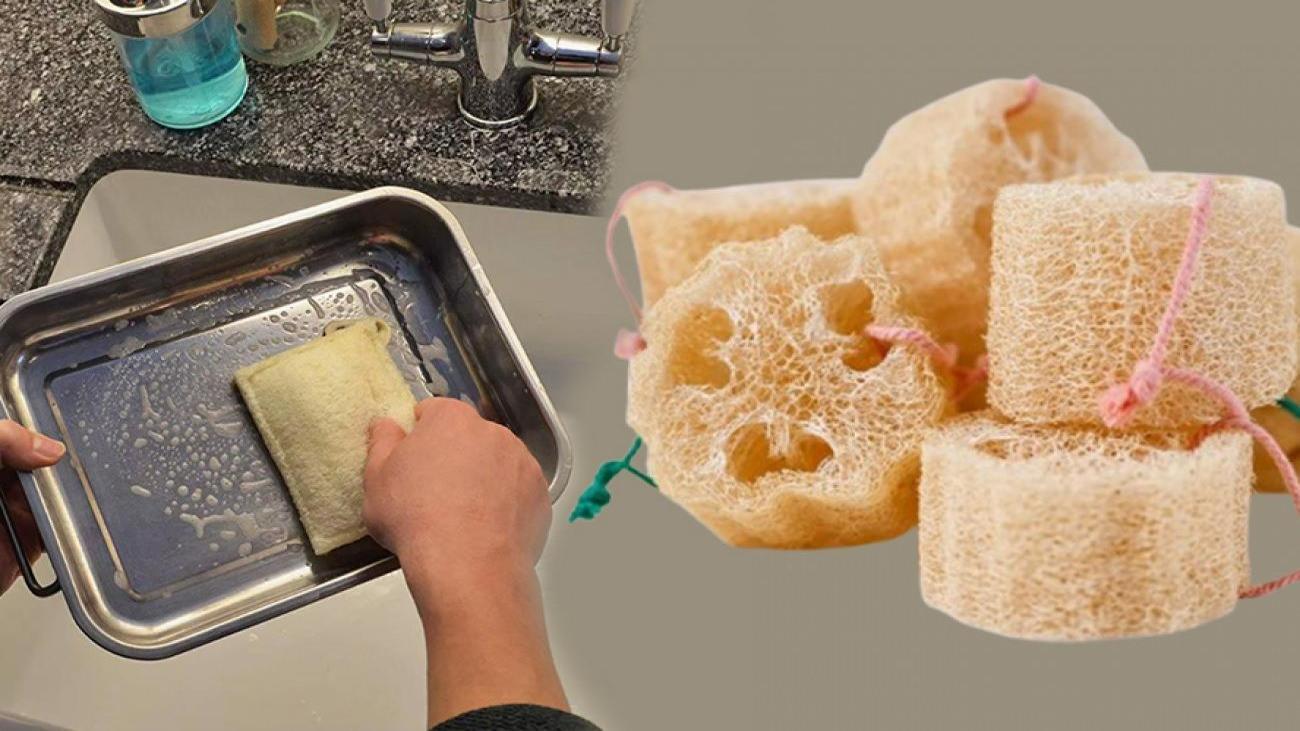 Kabak lifi bulaşık süngeri, doğallığı ve hijyenik yapısıyla mutfaklarınızda güvenle