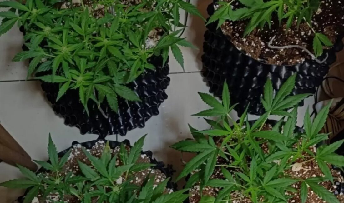 Kağıthane'de gerçekleştirilen uyuşturucu operasyonunda bir kişi tutuklandı. Olayla ilgili detaylar,
