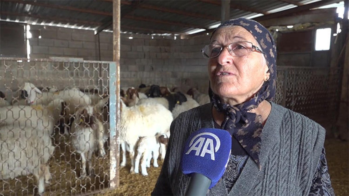 Ailenin Karşılaştığı Zorluklar