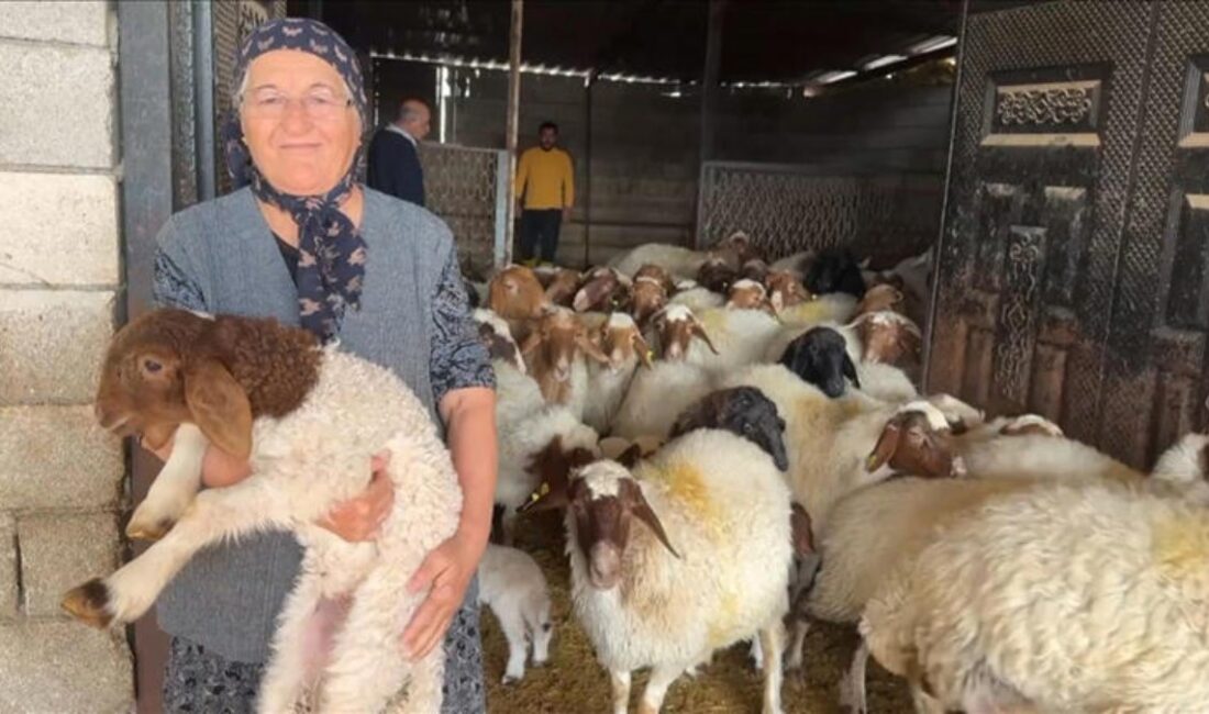 Kahramanmaraş depreminin ardından Tanrıverdi ailesinin yeniden hayata tutunma mücadelesini keşfedin.